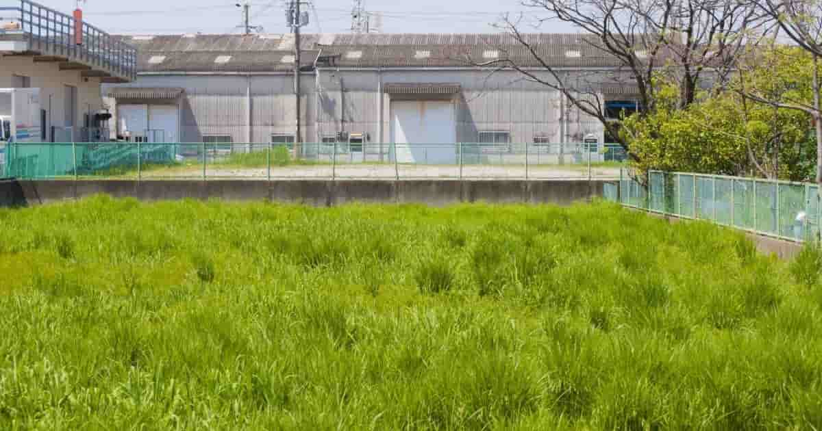 土地買取なら売れない土地でも買い取ってもらえる理由