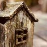 木造住宅は寿命が短い？耐用年数との違いや建て替えの必要性