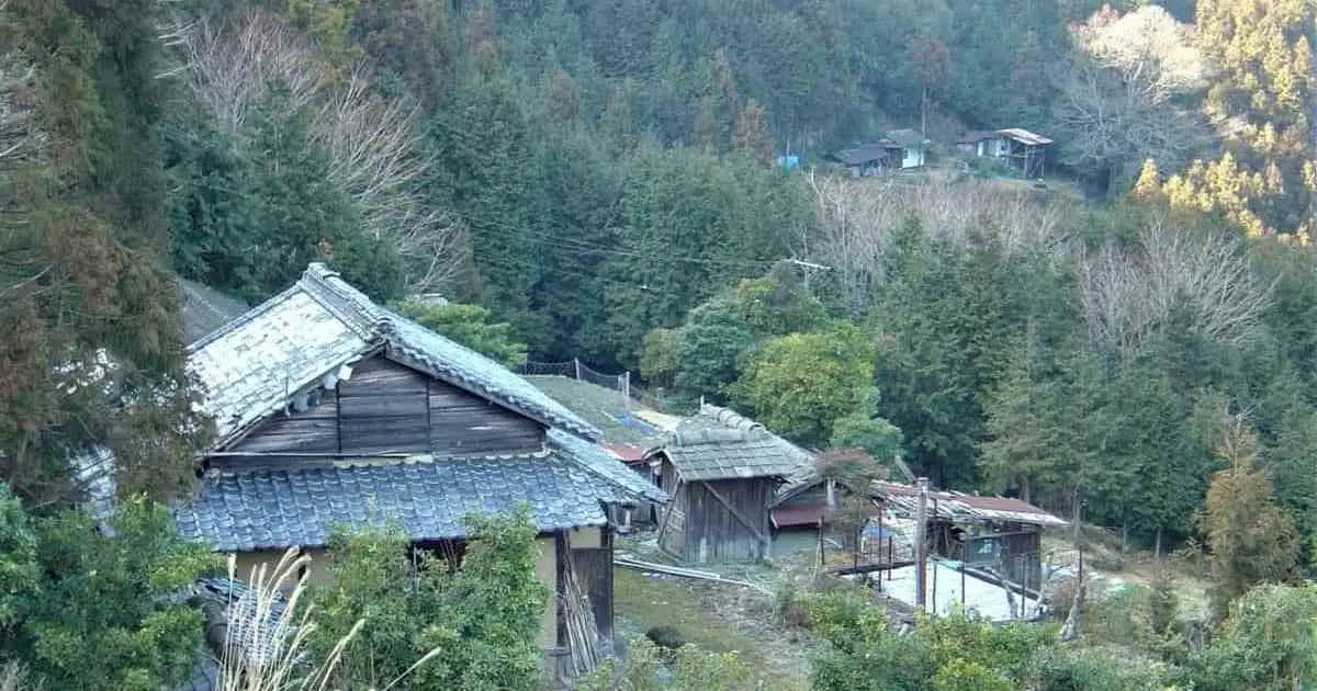 空き家の買取で知っておきたい基礎知識｜相場や不動産会社選びのポイントを解説