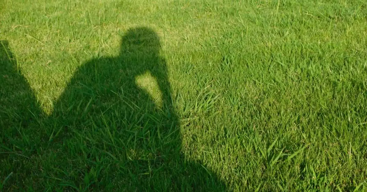 公務員の借金滞納は問題になる?|自己破産・債務整理をするときの注意点