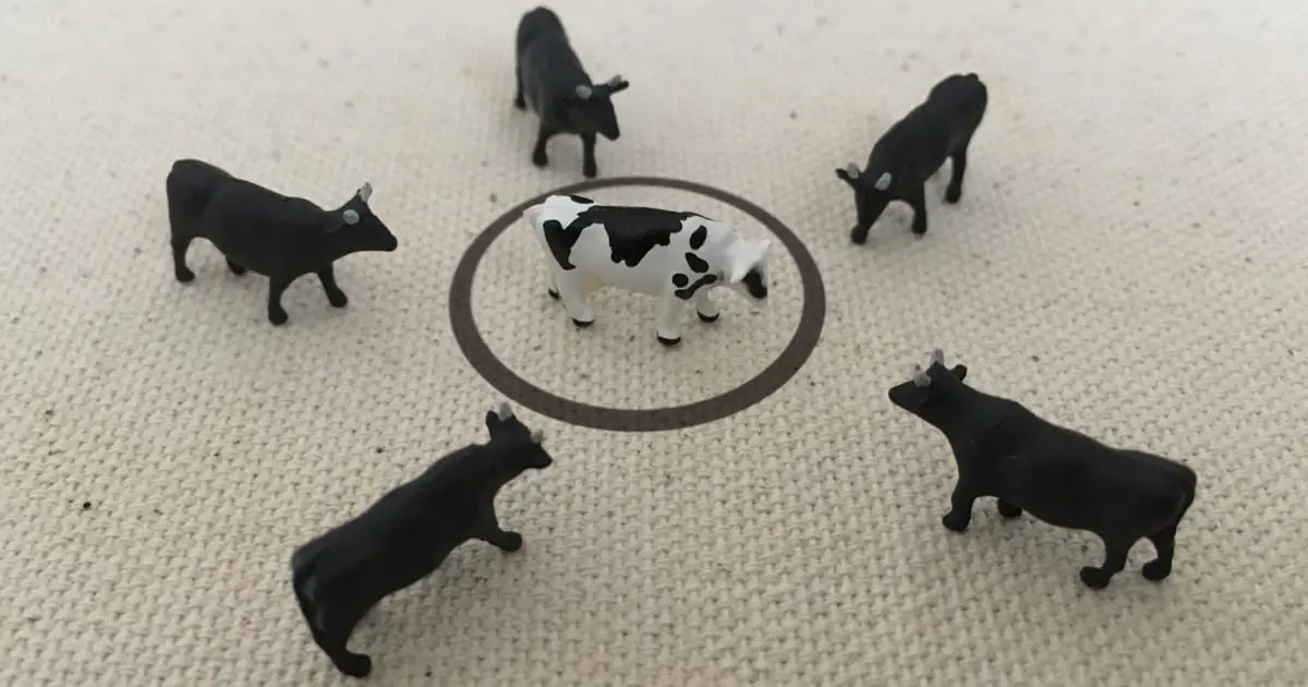 袋地の売却、どうする？売れにくい土地を手放す現実的な方法