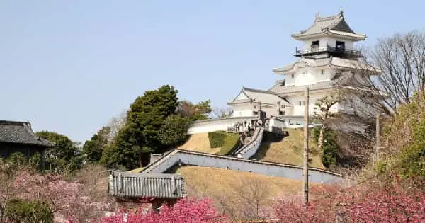 木造で復元した掛川城