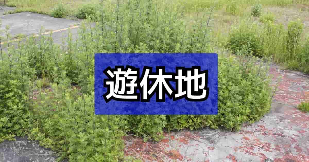 遊休地とは？耕作放棄地との違いから利点と欠点、有効活用法まで解説