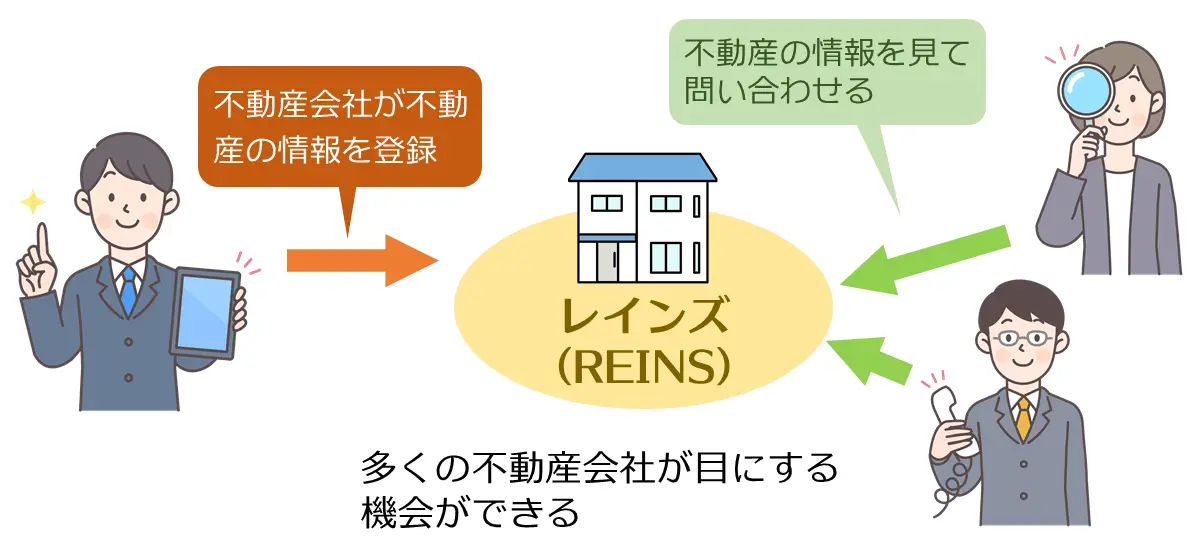 レインズの仕組み