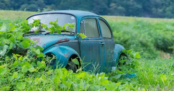 放置 車両 撤去 私有地