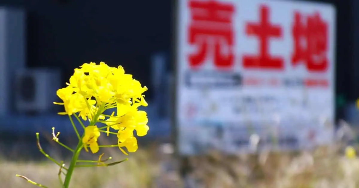 土地売買はどのような流れで進む？注意点も紹介