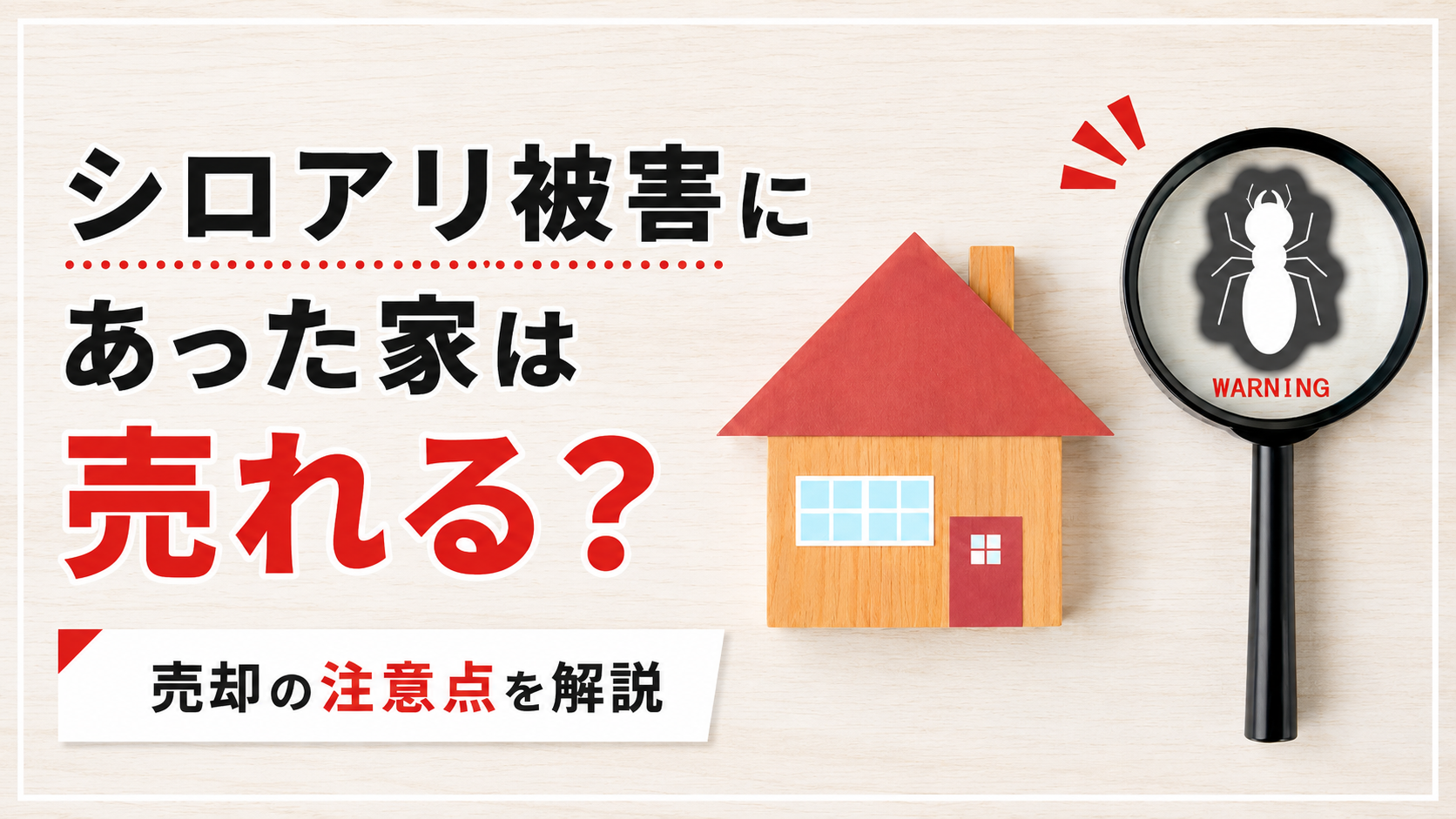 シロアリがでた家は売却できる？売る方法3つと避けるべきNG行動