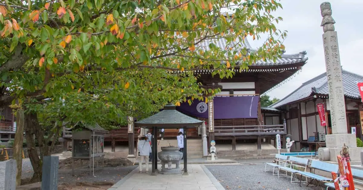 香川県善通寺市