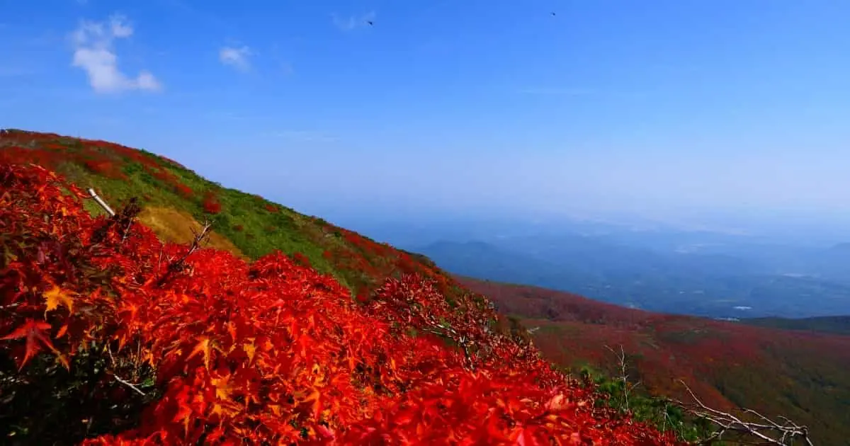 移住先で人気急上昇中の宮城県栗原市とは？魅力と支援制度をご紹介