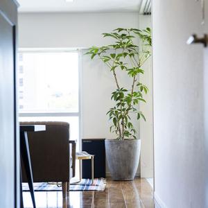 落ち着いた空間でお話しましょう。