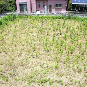 お困りの土地、メディオテックが買います。